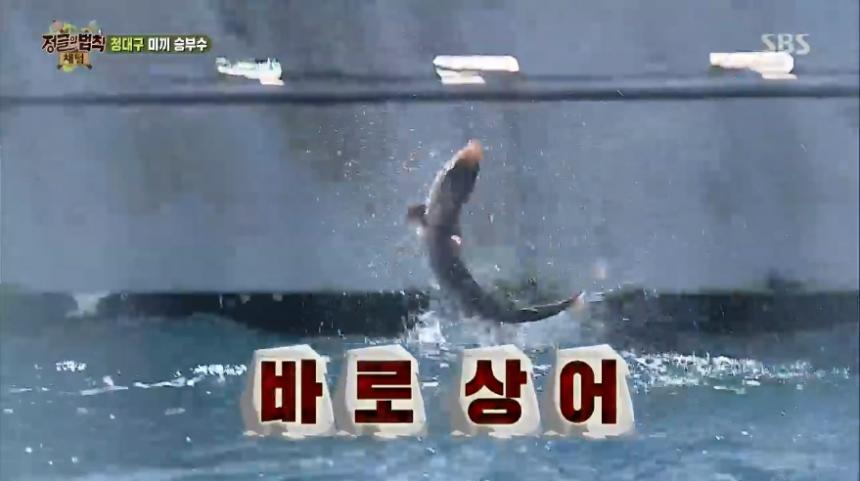 SBS ‘정글의 법칙’ 방송 캡쳐