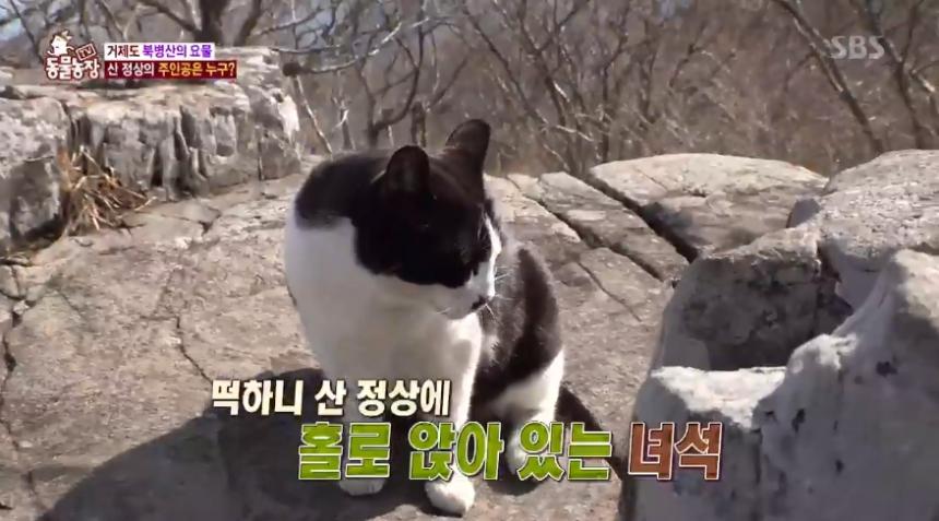 SBS ‘동물농장’ 방송 캡쳐