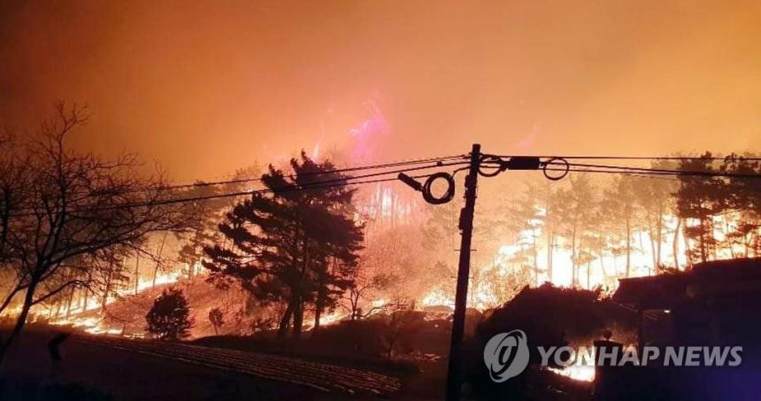 강원 옥계 산불 / 연합뉴스