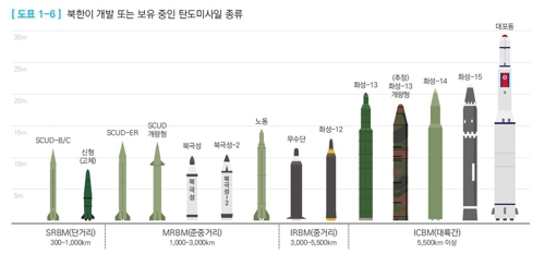 국방부가 발간한 '2018 국방백서'에 표기된 신형 고체형 단거리 탄도미사일(왼쪽서 두번째). 외형이 북한이 4일과 9일 발사한 미사일과 닮았다. 2019.5.11 [국방백서 캡처]