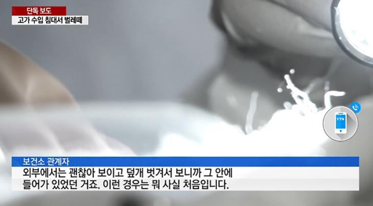 낙타털 침대 보건소 관계자 / YTN 방송캡처