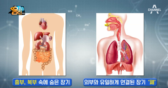 채널A ‘나는 몸신이다’ 방송 캡처