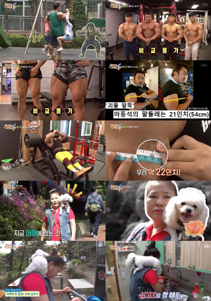 sbs방송‘순간포착 세상에 이런일이’방송캡처