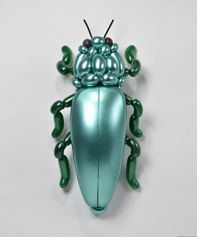 Jewel beetle / isopresso_balloon