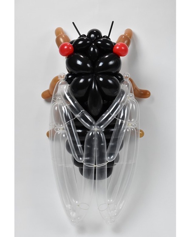 Cicada  / isopresso_balloon