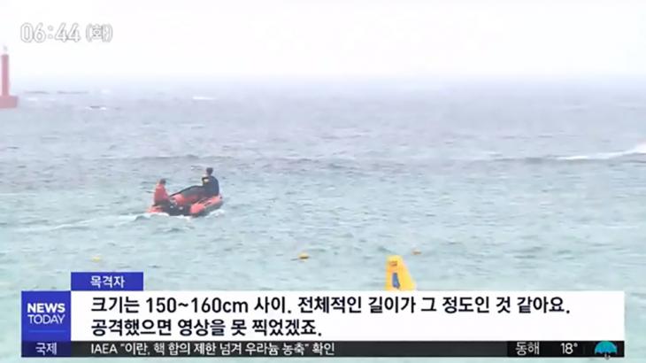 제주 함덕해수욕장서 상어 출몰 / MBC ‘뉴스투데이’ 방송 캡처