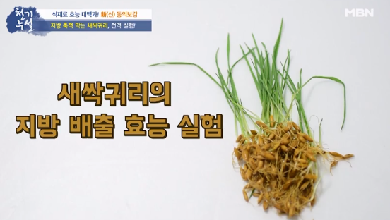 MBN ‘천기누설’ 영상 캡처