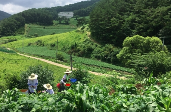 삼시세끼 산촌편 촬영지 / tvN '삼시세끼' 방송캡쳐 