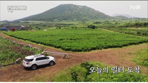 tvN 예능 '일로만난사이' 방송 캡처