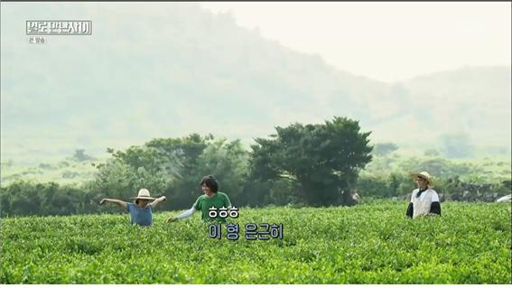 tvN 예능 '일로만난사이' 방송 캡처