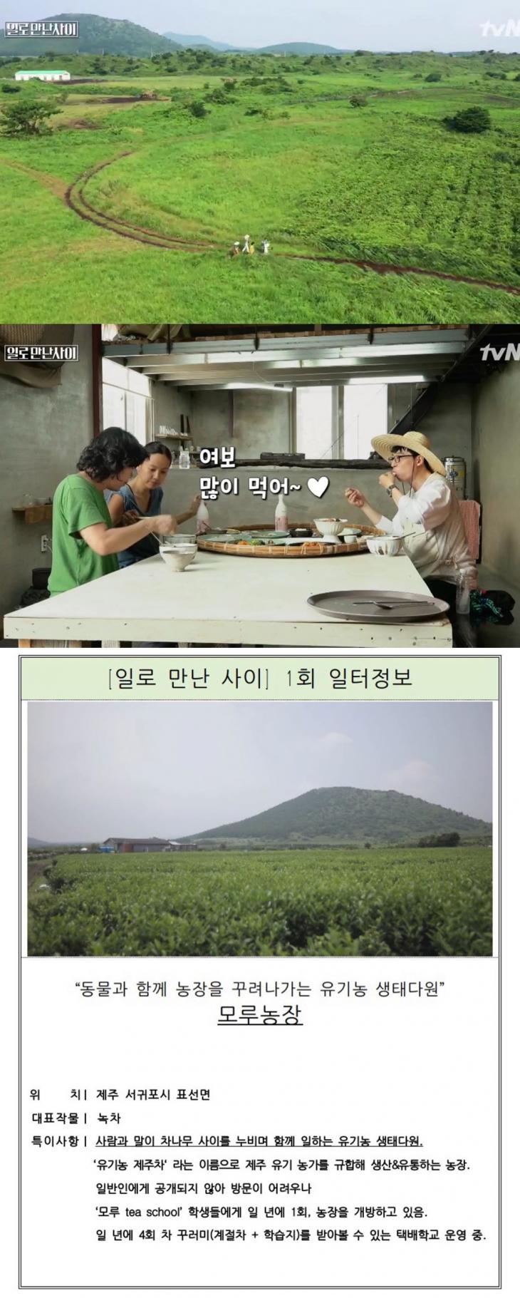 오세득 인스타그램, tvN ‘일로 만난 사이’ 방송 캡처