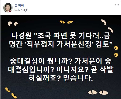 류여해 전 최고위원 페이스북 메시지