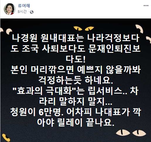 류여해 전 최고위원 페이스북 메시지