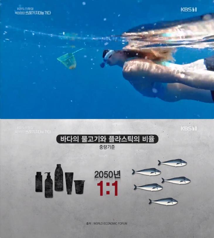 KBS ‘KBS 스페셜’ 방송 캡처