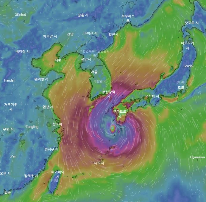 유럽중기날씨예보센터(ECMWF)의 14일 24시 기준 예보 상황 / 윈디닷컴