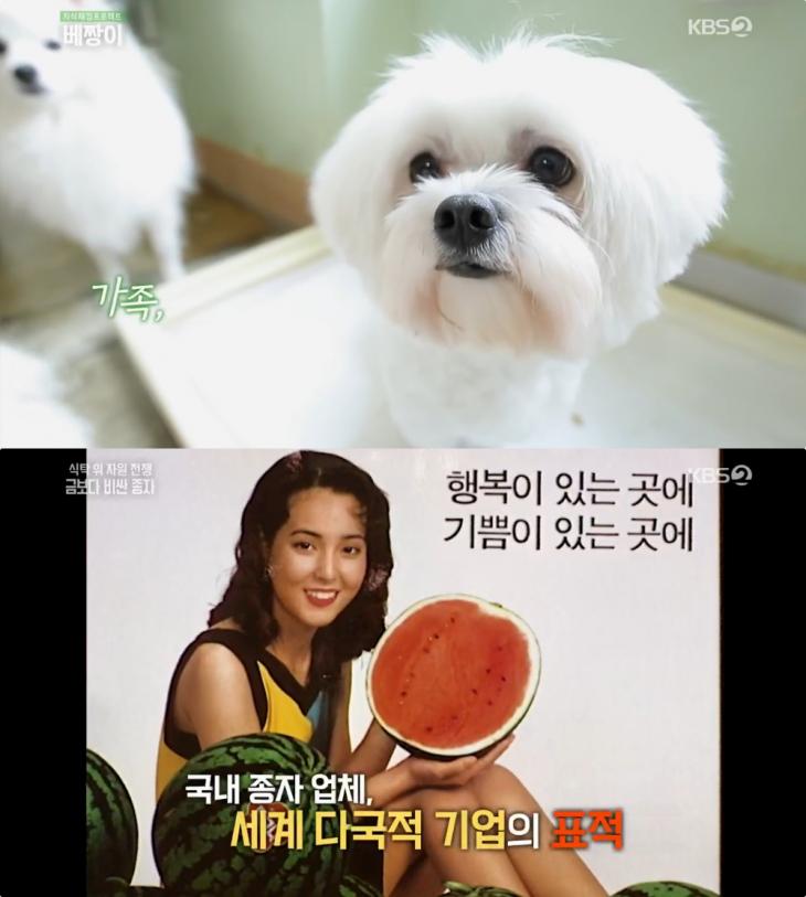 KBS2 ‘지식채집프로젝트 베짱이’ 방송 캡처