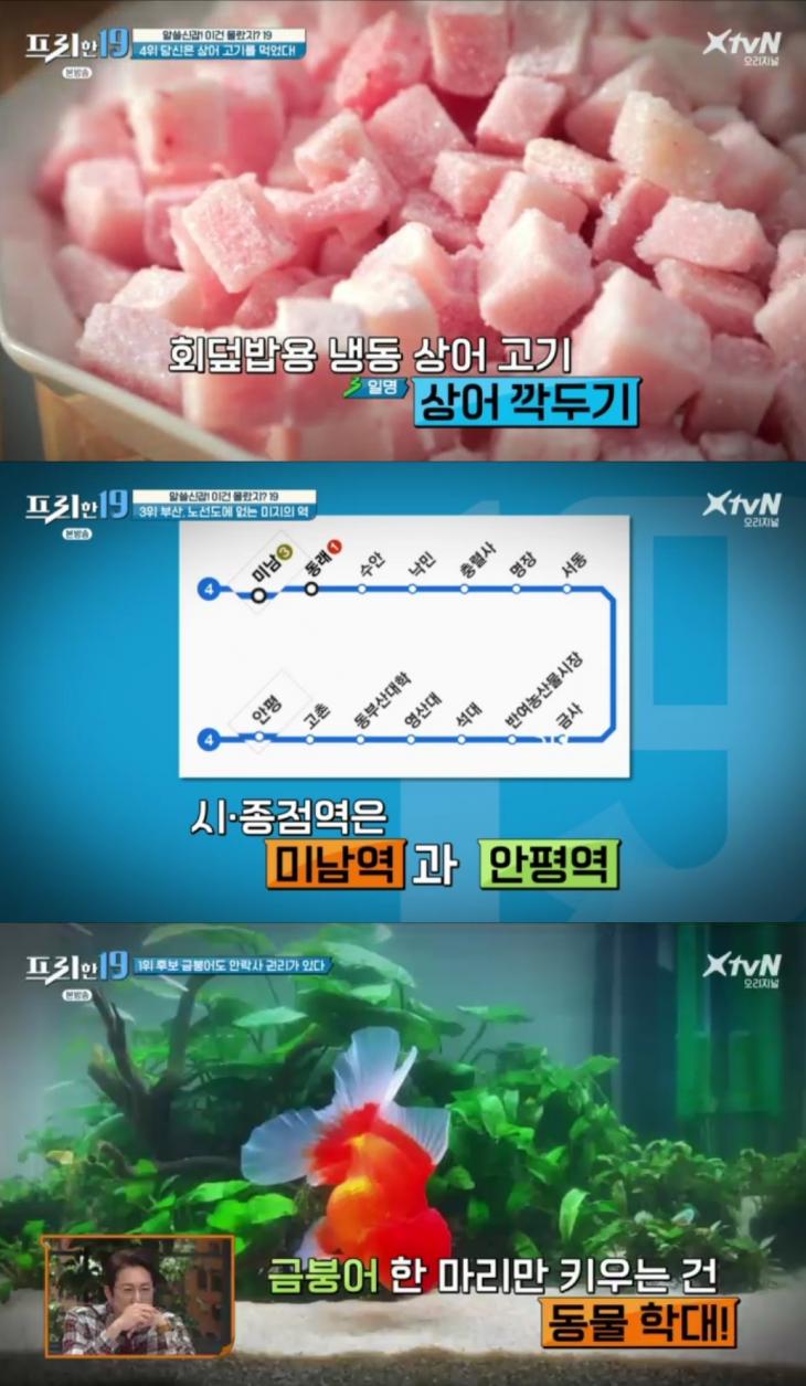 XtvN 예능프로그램 '프리한19'