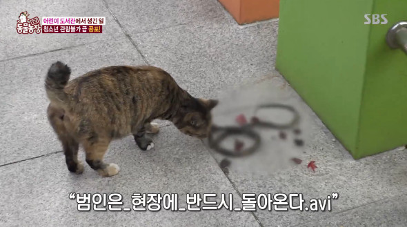 SBS ‘TV동물농장’ 방송 캡처