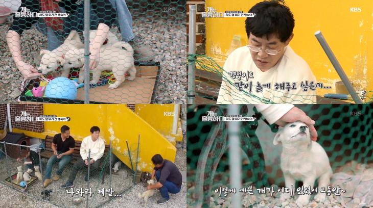 KBS2 ‘개는 훌륭하다’ 캡쳐