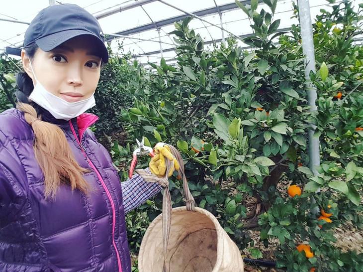 백세리 인스타그램