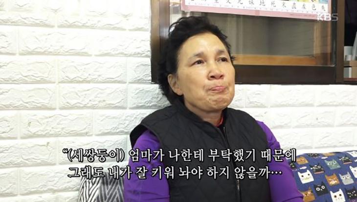 유도 삼둥이 세쌍둥이 외할머니 / KBS1 '인간극장' 방송캡처