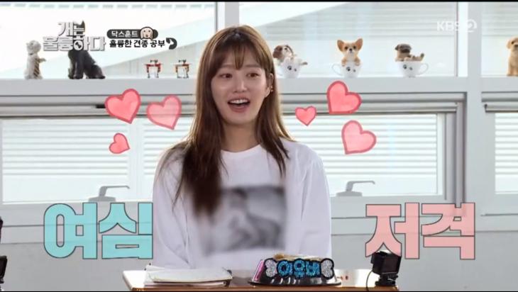 KBS2 ‘개는 훌륭하다’ 방송 캡처