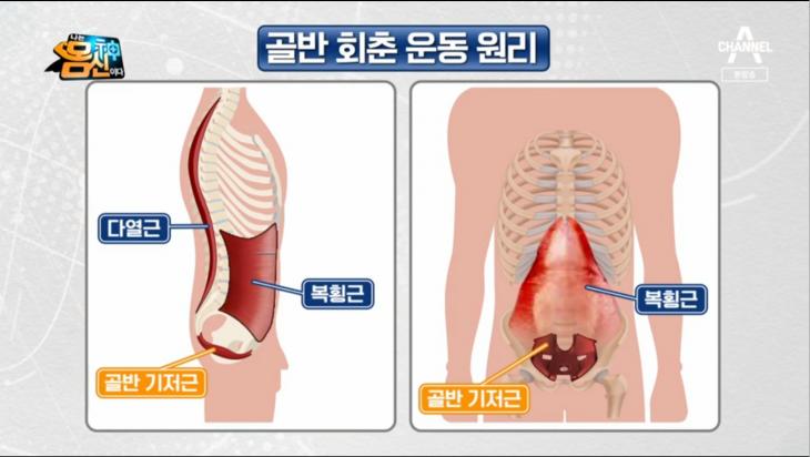 채널A ‘나는 몸신이다’ 방송 캡처