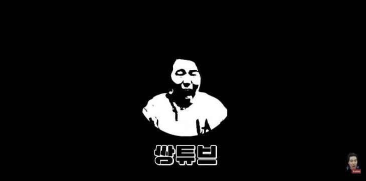 유튜브 '쌍튜브' 채널