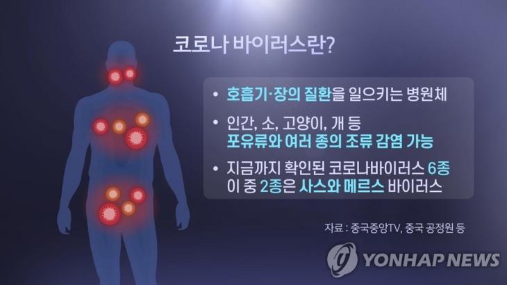 코로나바이러스란? [연합뉴스TV 제공]