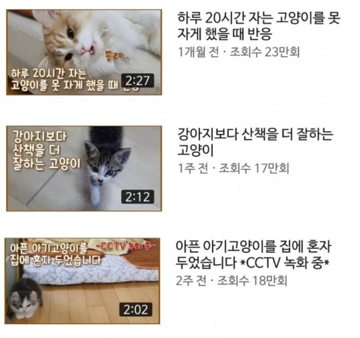 갑수목장 유튜브