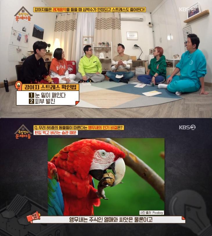 KBS2 ‘옥탑방의 문제아들’ 방송 캡처