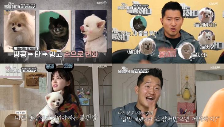 KBS2 ‘개는 훌륭하다’ 방송캡처