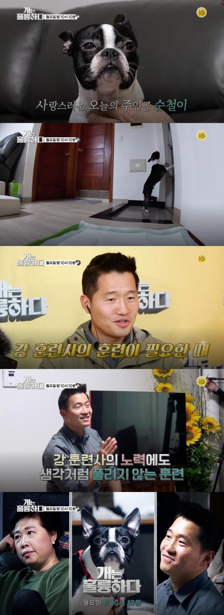 KBS2 '개는 훌륭하다' 15회 예고 캡처