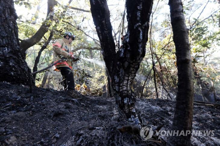 연합뉴스(과거 사진)