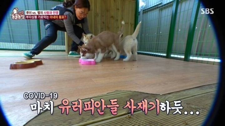 SBS 'TV동물농장'