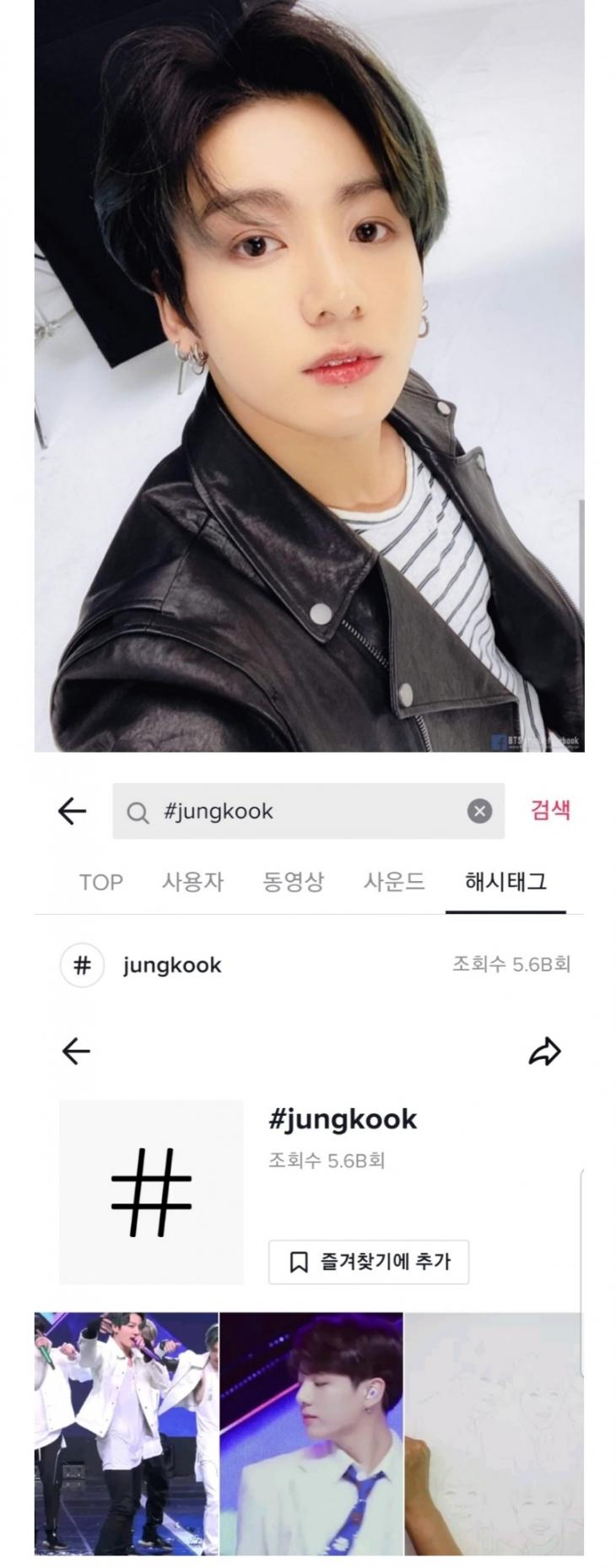 정국 / 틱톡