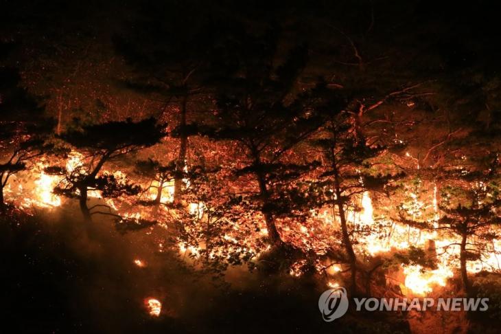 거대한 화염. 지난 1일 오후 강원 고성군 토성면 도원리에서 발생해 강한 바람을 타고 주변 지역으로 번진 산불이 맹렬한 기세로 산림을 집어삼키고 있다.2020.5.2 / 연합뉴스