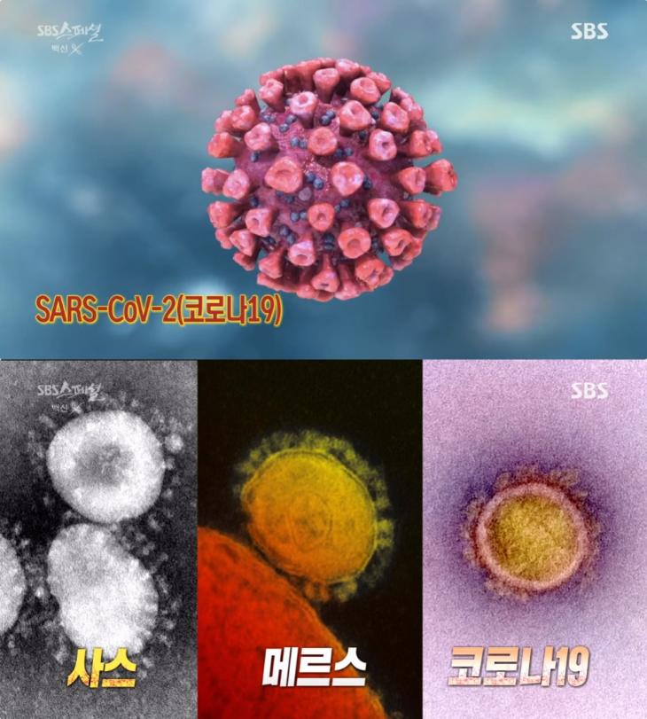 SBS ‘SBS 스페셜’ 방송 캡처