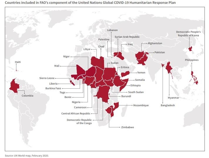 유엔 식량농업기구의 코로나19 인도주의적 대응계획 대상 국가 [유엔 식량농업기구(FAO) 보고서 캡처]