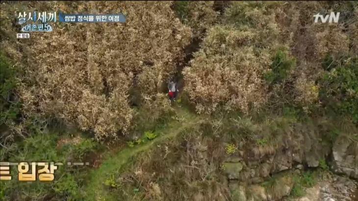 TVN 삼시세끼 어촌편5 캡처