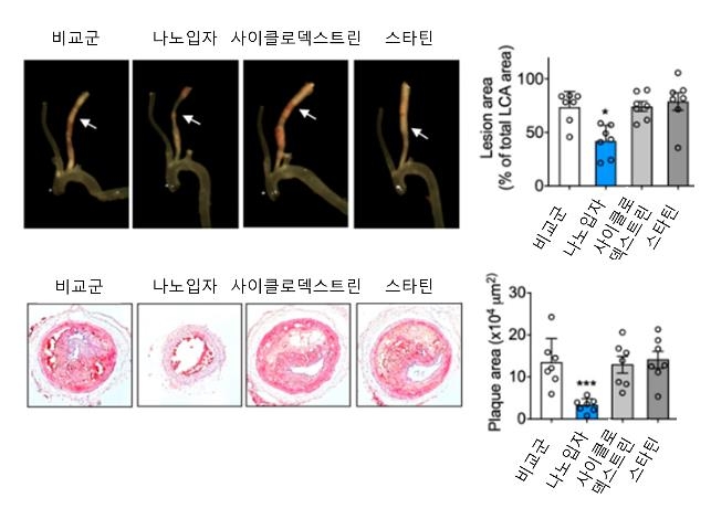 사이클로덱스트린-스타틴 나노 입자의 플라크 제거 효과 [KAIST 제공. 재판매 및 DB 금지]