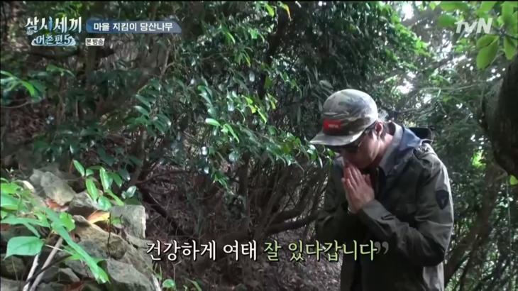 tvn 삼시세끼 어촌편 5 캡처