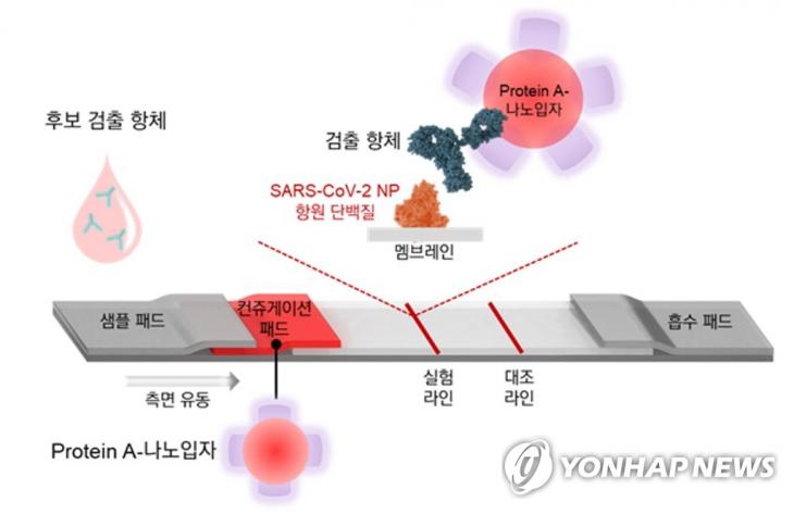 코로나-19 바이러스 특이 항원 신속진단 기술 / 연합뉴스
