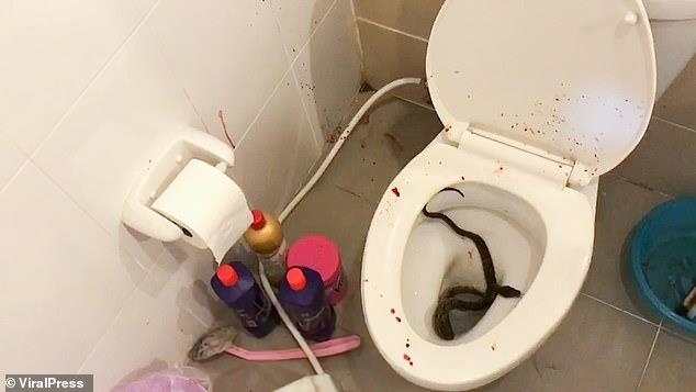 태국 가정집 화장실에 침투한 뱀 / 태국 바이럴 프레스 캡처