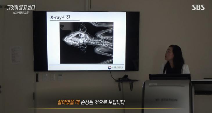 SBS 그것이 알고싶다 캡처