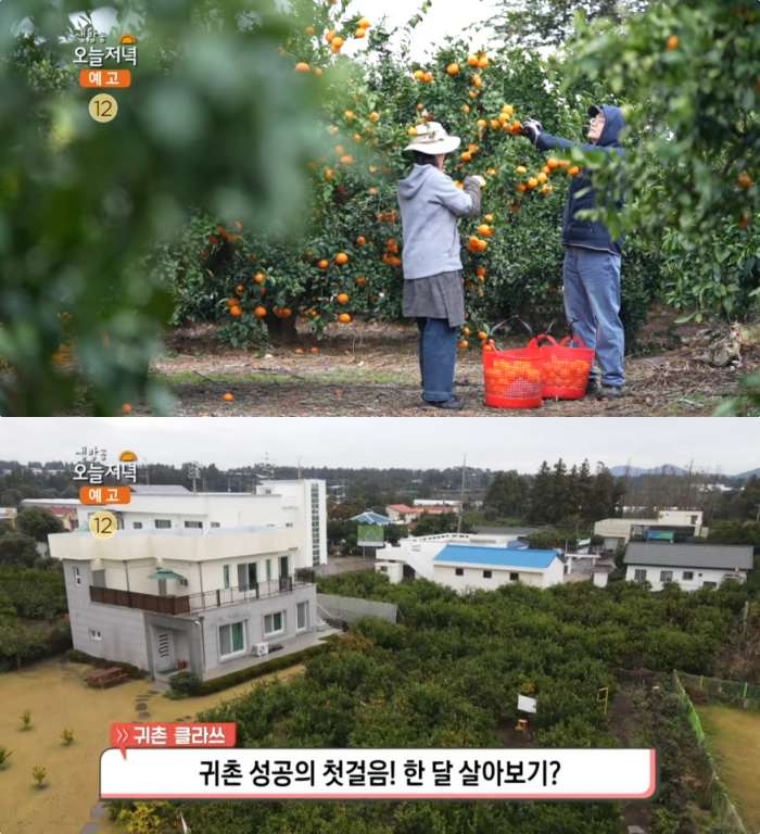 출처 : 해당 업체 네이버 플레이스