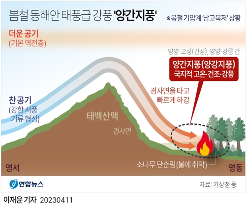 연합뉴스