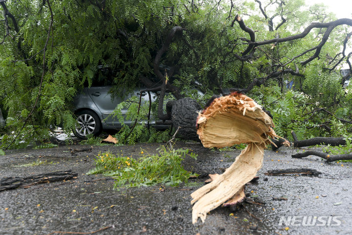 [부에노스아이레스=AP/뉴시스] 아르헨티나 동부에 시속 150㎞의 강풍과 폭우를 동반한 폭풍이 발생해 최소 14명이 사망했다고 미국 CNN 등 외신이 17일(현지시간) 전했다. 사진은 아르헨티나 부에노스아이레스에 폭풍이 몰아쳐 쓰러진 나무가 자동차를 덮친 모습. 2023.12.18.