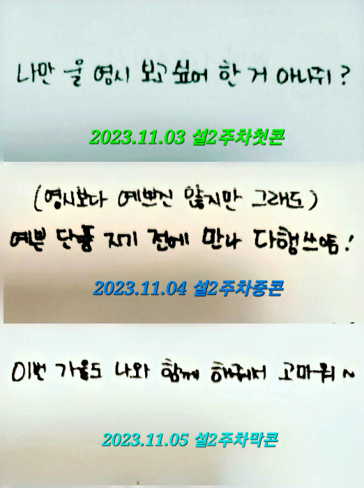 '혜자스런 콘서트'로 운영 잘하는 소문난 'MD 맛집'…임영웅이 최고인 이유 ①