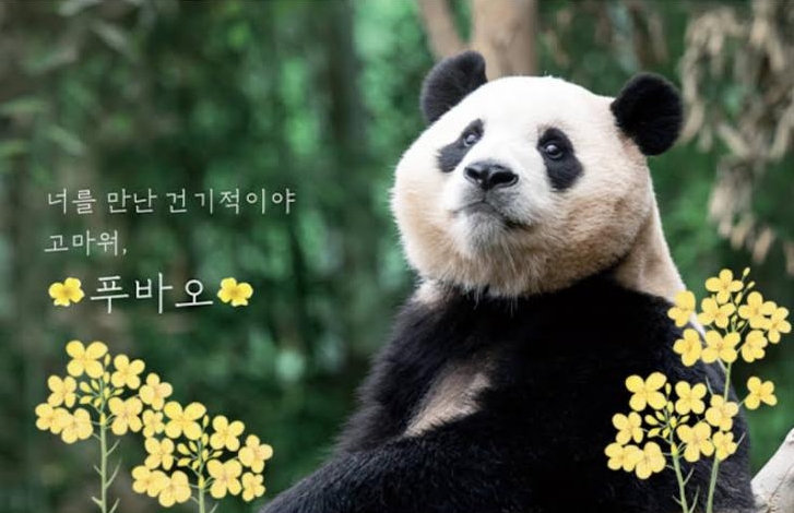 유튜브 '말하는 동물원 뿌빠TV'